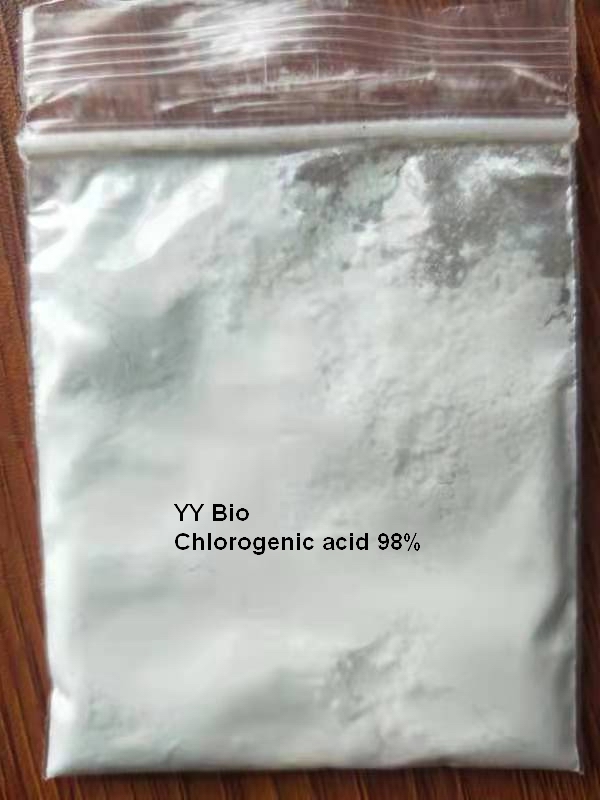 绿原酸Chlorogenic acid  98% 样品图.jpg