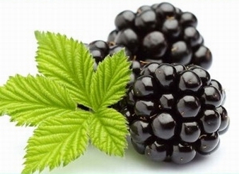 黑莓提取物，黑树莓提取物，黑莓果粉